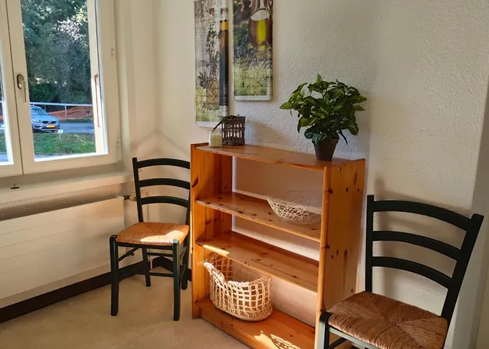 Neb-thun 3 公寓 图恩